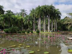 -中国科学院西双版纳热带植物园