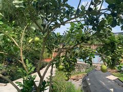 -寨沙侗寨(侗族歌堂)