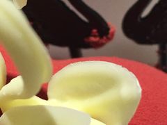 -BLACKSWAN黑天鹅(环球店)