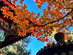 -香山公园