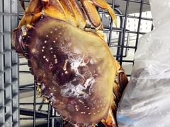 珍宝蟹-盒马鲜生(宝地店)