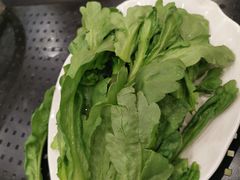 -筋头巴脑牛一锅(朝阳路总店)
