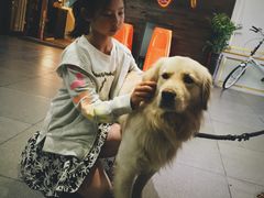 -LA CREPERIE BRETONNE布列塔尼法式餐厅(天童北路店)