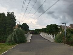 -九里河湿地公园