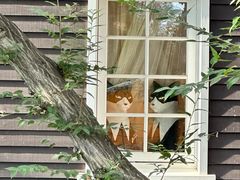 -三鹰之森吉卜力美术馆