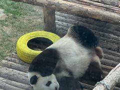 -大连森林动物园