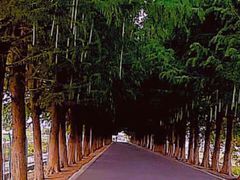 -嘉北郊野公园