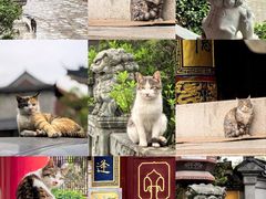 -高旻寺