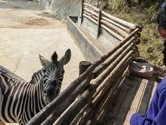 -泉州海丝野生动物世界