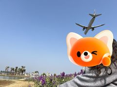 -空港花田景区