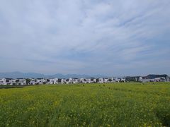 -东梓关景区村庄
