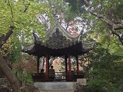 -秋霞圃