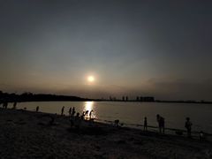 -瑶湖郊野森林公园