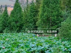 -白鹭湾湿地公园