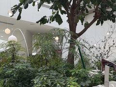 -大树餐厅(红旗街万达店)