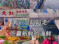 -南丫岛