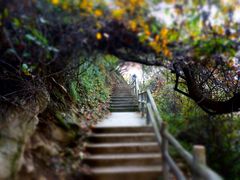 -太平万花山景区
