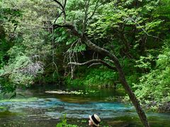 -叠溪松坪沟景区