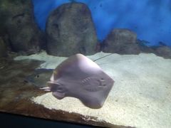 -福州罗源湾海洋世界旅游区