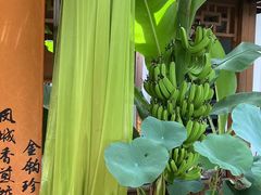 -聚福宝合苑食府(南头镇店)