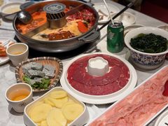 -蜀大侠火锅(总府路店)