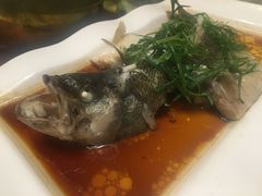 -盛记顺德高佬猪杂粥