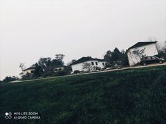 -三圣花乡旅游区