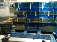 水产区-雅逸居海鲜小厨