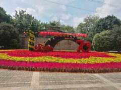-光明港公园