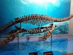 -自贡恐龙博物馆