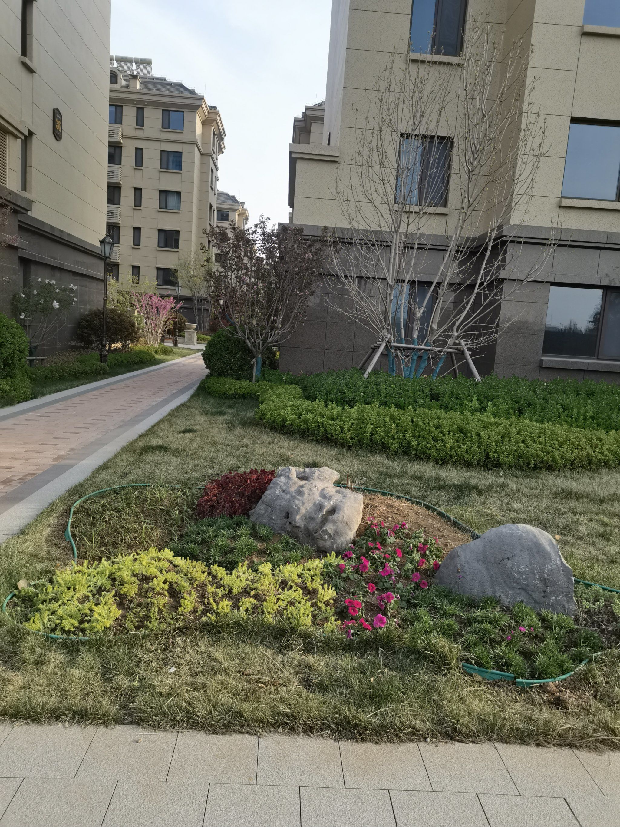 美丽的景观绿化工程,花美小区环境美,住着