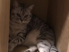 -H立方实景剧情密室(天河旗舰店)
