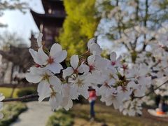 -堤角公园
