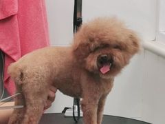-美联众合24小时·皮肤科·外科·全科诊疗中心(华苑分院)