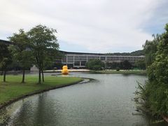 -上海佘山世茂艾美酒店