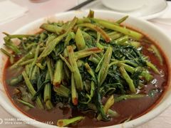 南乳汁空心菜-玲珑餐厅(陕西南路店)