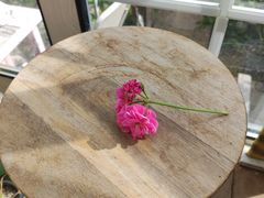 -三仟津花园咖啡馆