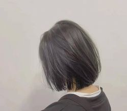 -IDOL-PLUS