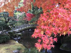 -京都御所