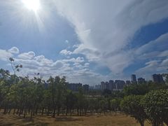 -牛岗山公园