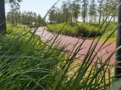 -春花秋色城市公园