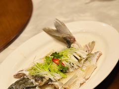 -香山家宴