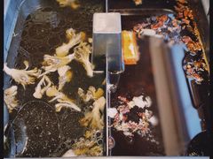 -海底捞火锅(公益西桥店)