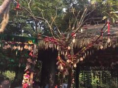 -呀诺达热带雨林