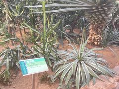 -石家庄市植物园