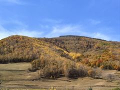 -塞罕坝国家级自然保护区
