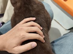 -平行世界·猫咖(首经贸店)