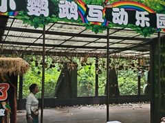 -野象谷景区