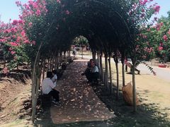 -武汉紫薇都市田园