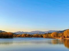 -永定河休闲森林公园
